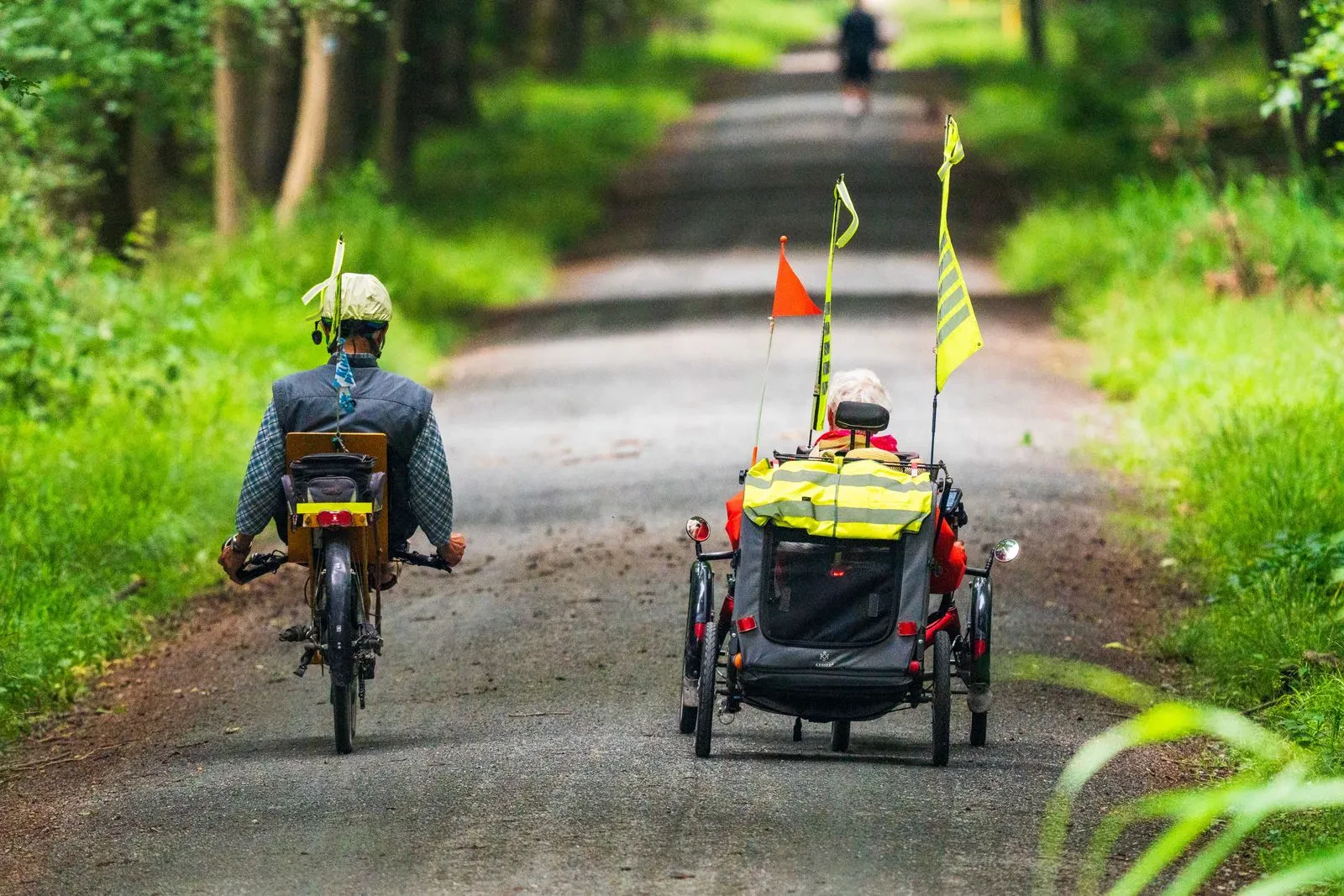 Older couple cycling a tree-lined path