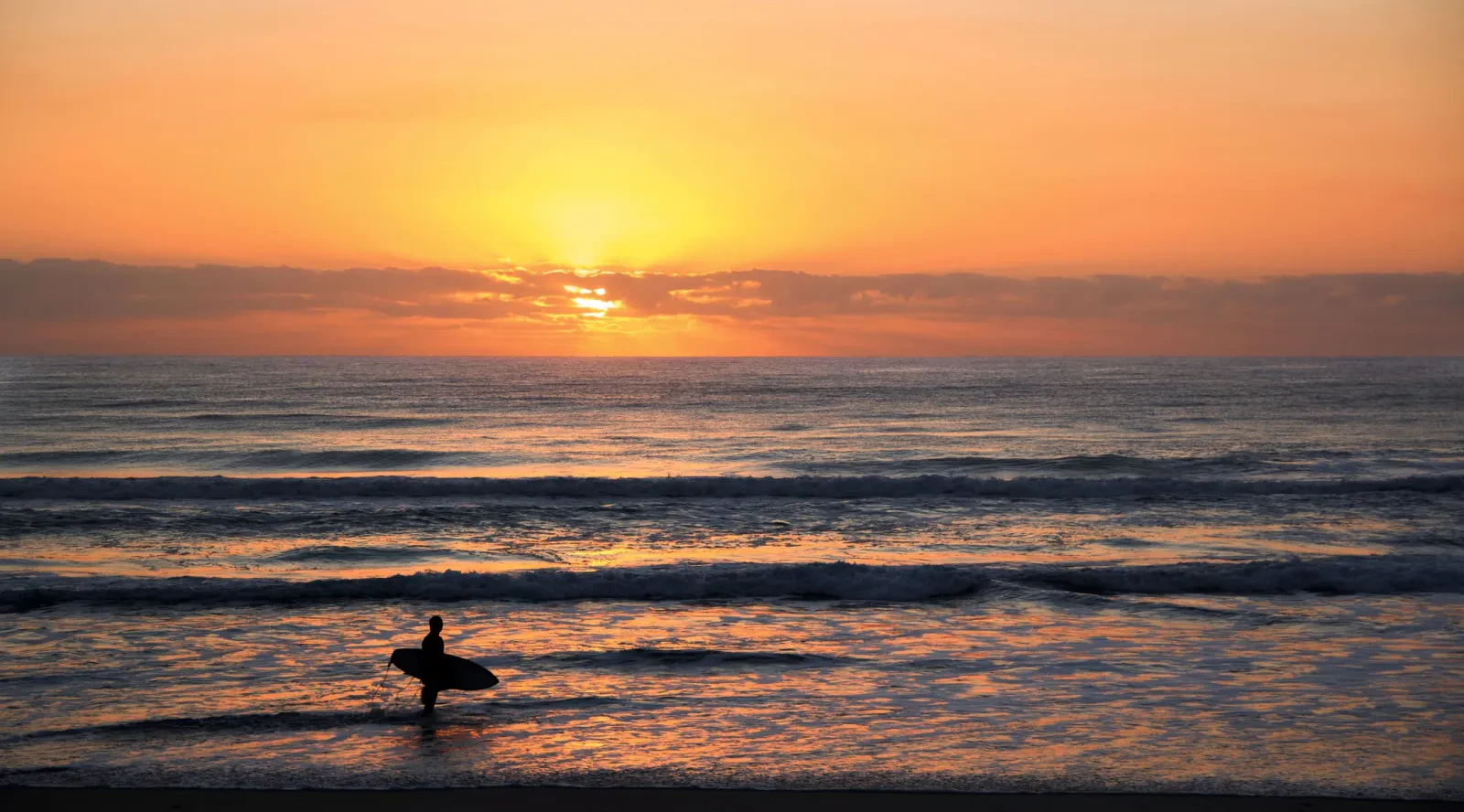 Surfer riding a golden wave at sunset